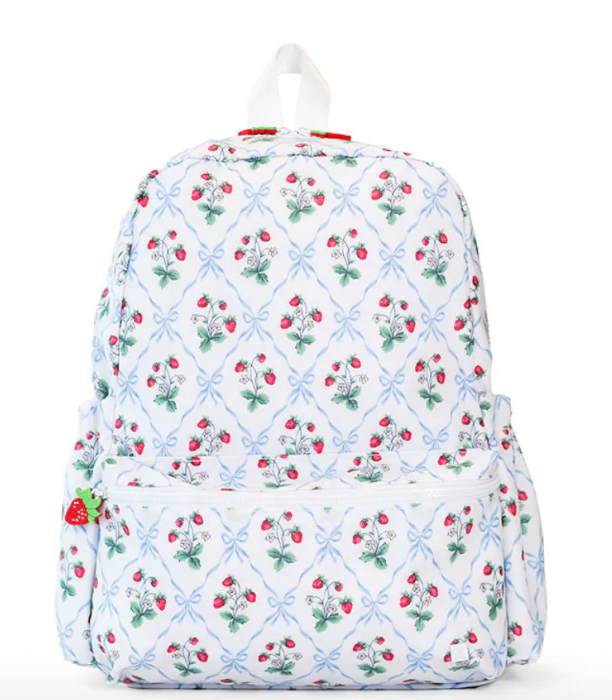 Mini Backpacker