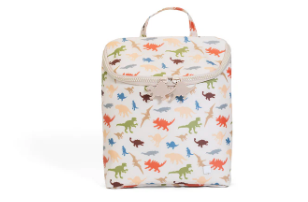 Take Away Insulated Lunch Bag